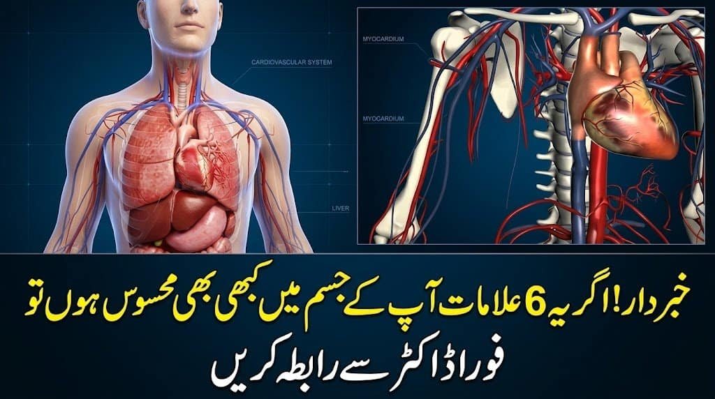Heart and circulatory system illustration highlighting symptoms and signs of heart issues.